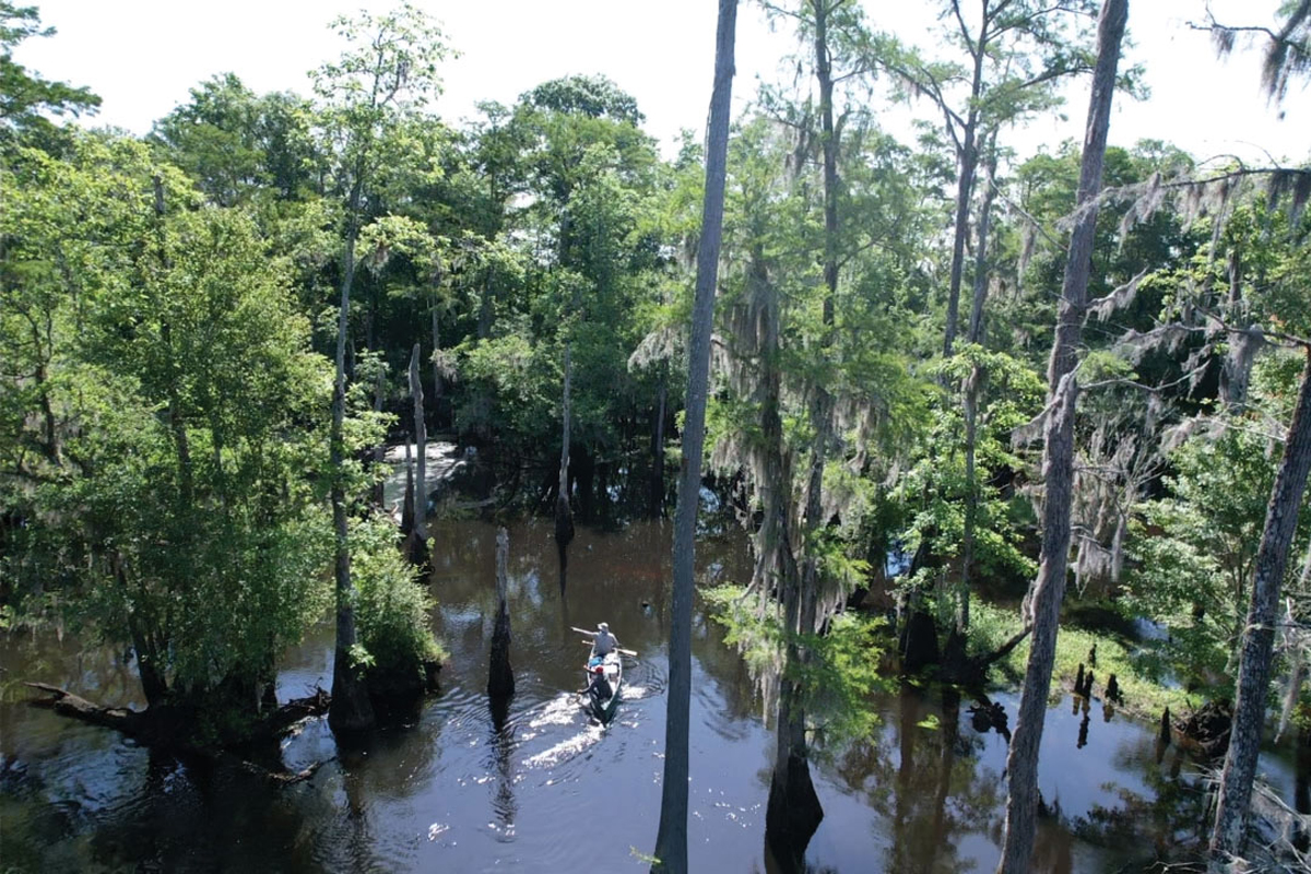 The river splits into multiple channels throughout its course, offering opportunities to explore—and get lost.