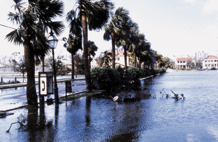 A swamped Colonial Lake looking west down Ashley Avenue