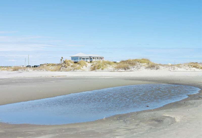 Folly Beach County Park is the ideal base for beach strolls, with views of two bird sanctuaries, as well as ocean and marsh vistas.