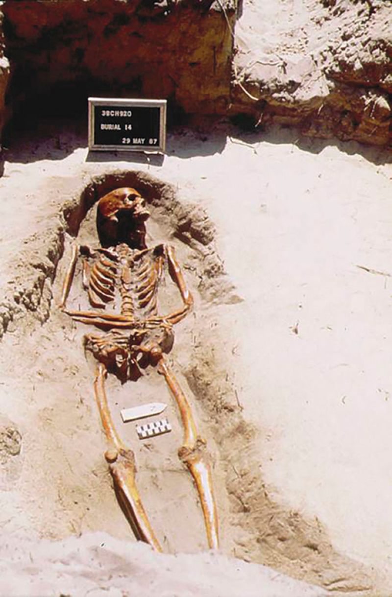 Skeletal remains were unearthed at the Morris Island Lighthouse during the 2007 excavation work.