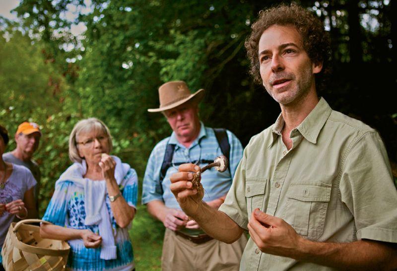 Alan Muskat leads his No Taste Like Home foraging tours in the Blue Ridge Mountains.