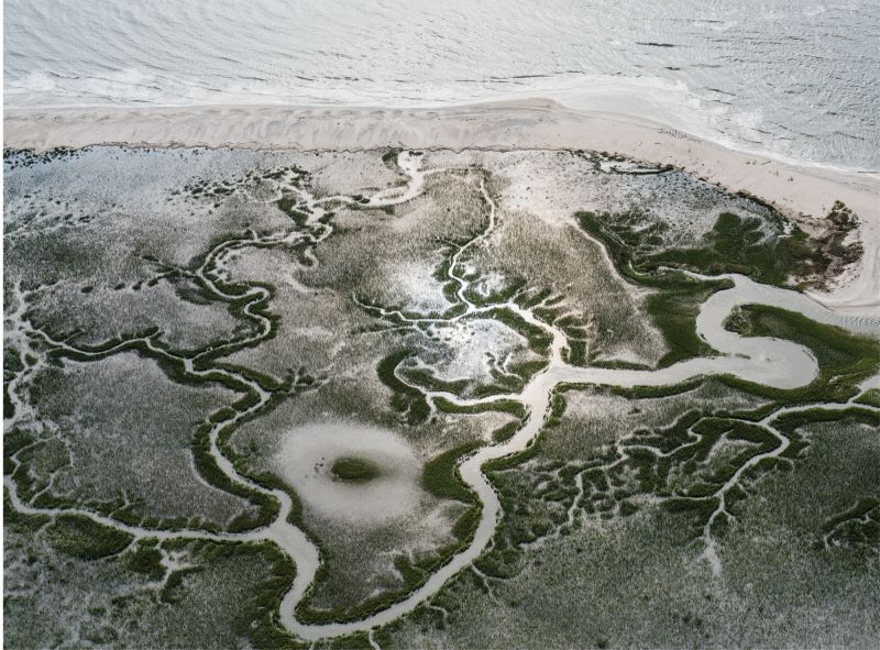 Wetlands at Edisto Beach  (Edisto Island; October 13, 2015)