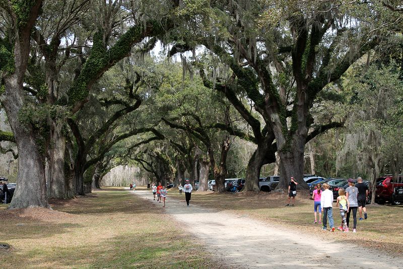 The raceway featured an oak allée