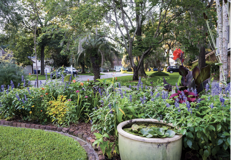 Acing the Test: Arcing alongside the driveway, this sunny bed was born as a ”trial garden”—a place for Rivers to test plants’ potential before introducing them into clients’ spaces. Now it’s fertile ground for species that support wildlife, such as the native giant coneflower, whose seed pods tower on silvery blue stalks at right, high above even the canna lilies.