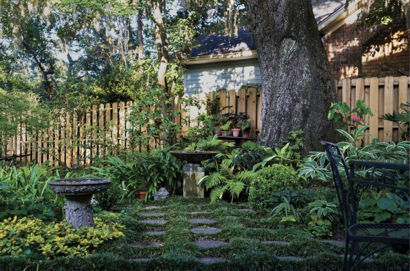 Creature Comforts: It took Rivers years to finish planting dwarf mondo grass amid the stepping stones laid in several areas throughout the back garden. Here, the inviting combination draws one from the patio into a verdant nook ending in a birdbath.