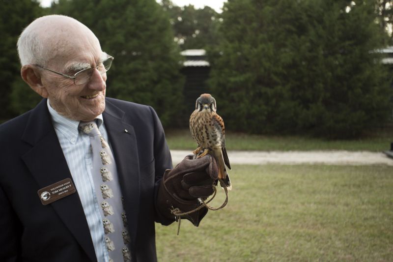 Volunteer Tom McServy with a four-month-old American kestrel