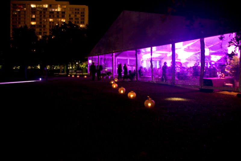 The entryway to the Conservation Gala tent was lit by paper lanterns.