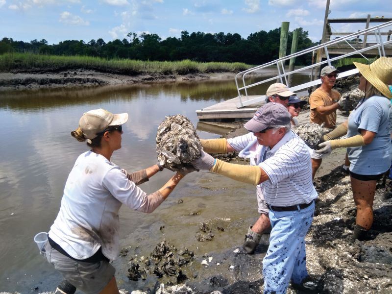 Back to Nature learning series for adults engages residents with the habitats, wildlife, and heritage of Edisto, including building an oyster reef at Roxbury Park in partnership with the SC Department of Natural Resources.