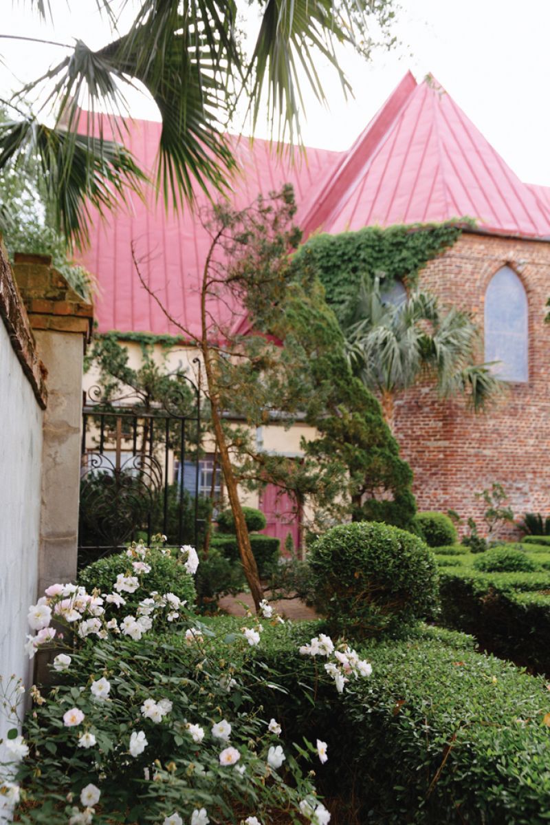 ‘Champneys’ Pink Cluster’ brings a blush of color to the topiary plantings in the Philip Simmons Memorial Garden (also called the Heart Garden) behind St. John’s Reformed Episcopal Church.