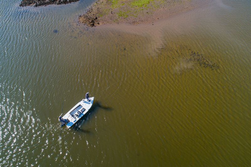 Poling and casting into a school of redfish at low tide.