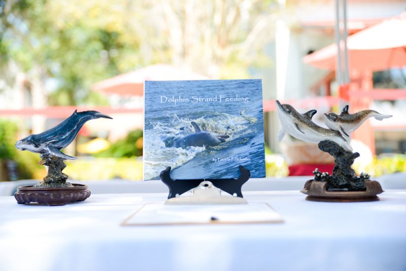 Dolphin Strand Feeding by Patricia P. Schaefer