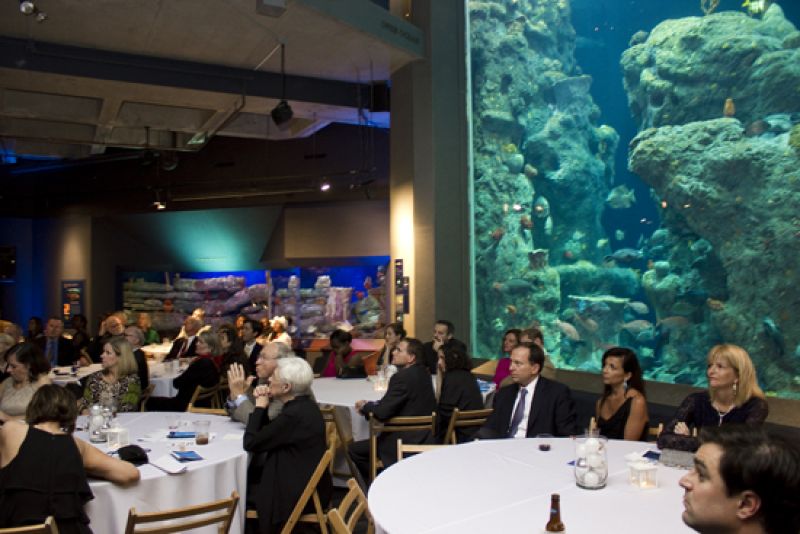 Guests at the honoree ceremony