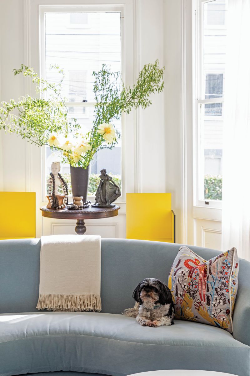 Zeus, the Mendezes’ 12-year-old pup, likes his blue velvet perch.