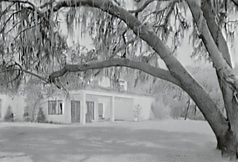 Millionaire’s Playground: Victor and Marjorie Morawetz were among a fortunate group of wealthy Northerners who discovered the South Carolina Lowcountry in the 1920s and 1930s as a perfect place for winter homes and/or hunting retreats. Like the Morawetzes’ restoration of Fenwick Hall, the monies brought by members of this “second Northern invasion” saved many of the area’s historic properties, which were then in imminent danger of destruction by neglect. Many still flourish from the generosity of their benefactors, and some, including the former Mepkin Plantation (pictured here) are open to the public.