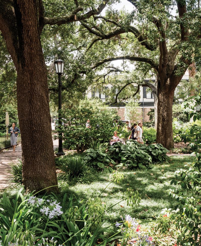 In the most historic parts of Savannah it’s all about the squares, public green spaces with pathways and monuments or fountains—such as this one in Forsyth Park—every couple of blocks downtown.