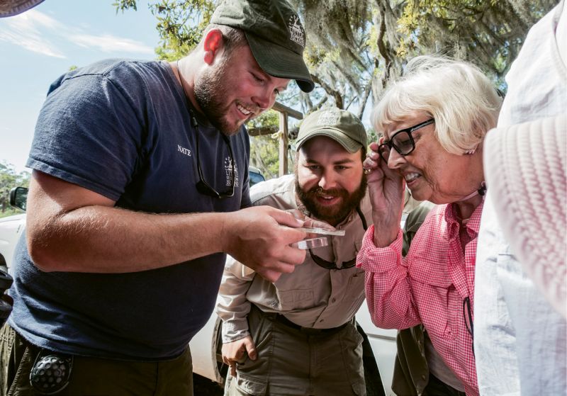 Naturalists show guests a find of tiny horseshoe crab eggs.