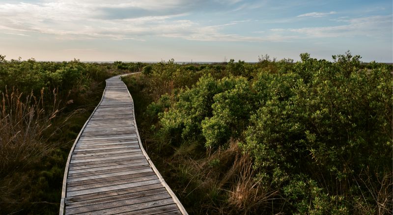 The beach boardwalk.