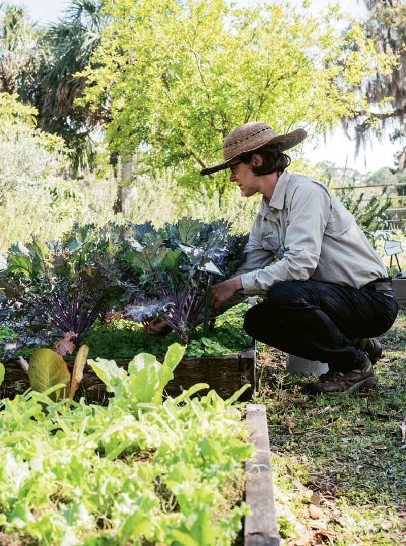 Gardener Claudie Babineaux.