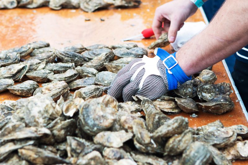 80,000 total pounds of oysters were consumed at the festival