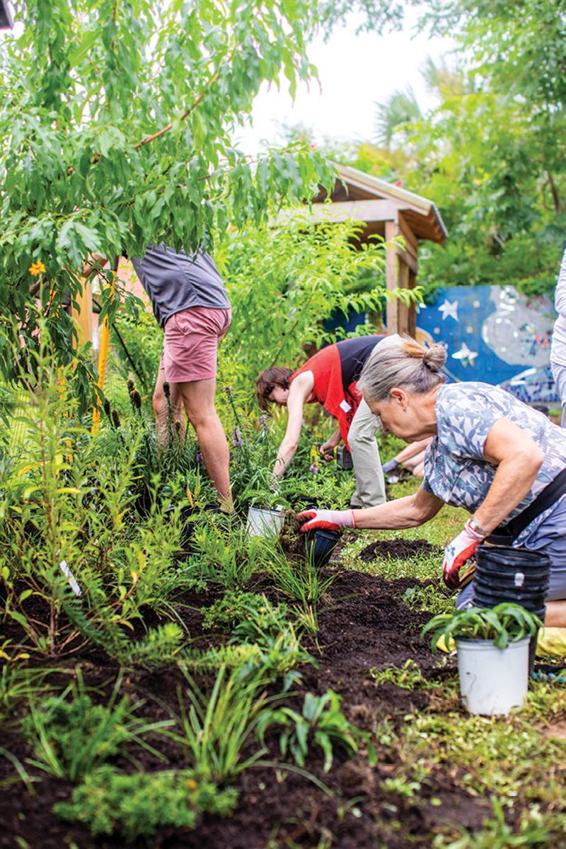 The Romney Street Urban Garden.