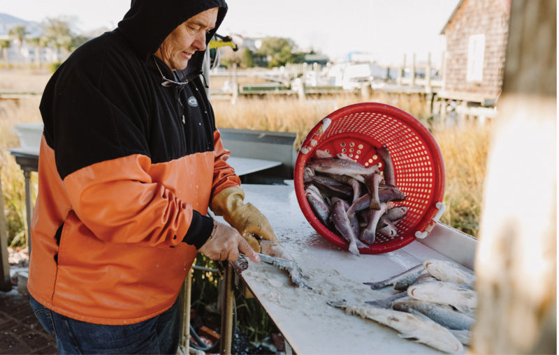 Mark scaling croaker at Geechie Dock