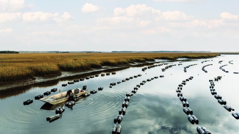 Trey McMillan, whose Lowcountry Oyster Co. farming operation spans 3,000 cages across 16 acres in the ACE Basin, grows about one million oysters per year that are sold directly to restaurants and consumers across the Southeast. Bullish on the industry and local select oysters, he’s building a $6.4-million processing and distribution center to expand production.