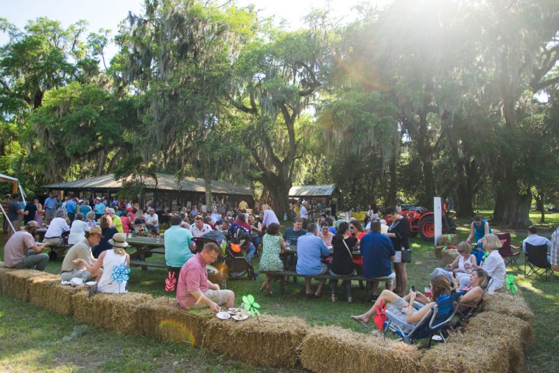 Guests lounged on picnic tables and barrels of hay.